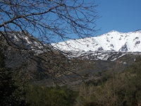 anobello-04032012 014